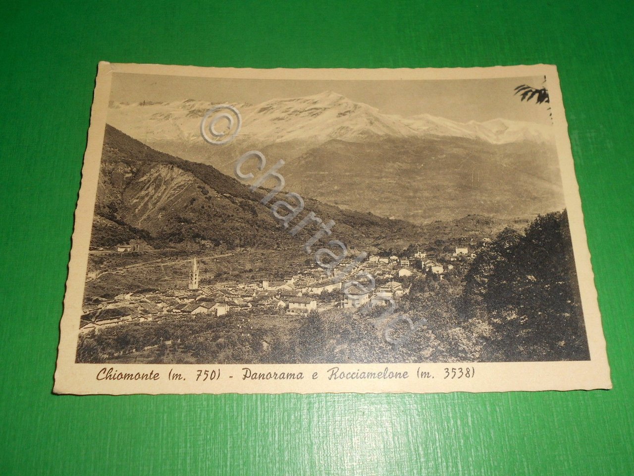 Cartolina Chiomonte - Panorama e Rocciamelone 1955.