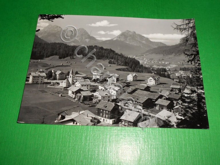 Cartolina Cima Sappada - sullo sfondo le Terze 1964 | Immagine Gallery 2