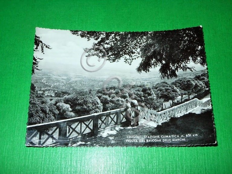 Cartolina Cingoli - Veduta dal Balcone delle Marche 1957 | Immagine Gallery 2