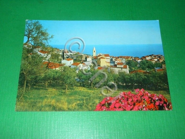 Cartolina Cipressa ( Imperia ) - Panorama 1975 | Immagine Gallery 2