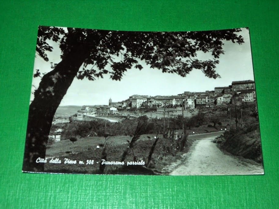 Cartolina Città della Pieve - Panorama parziale 1962