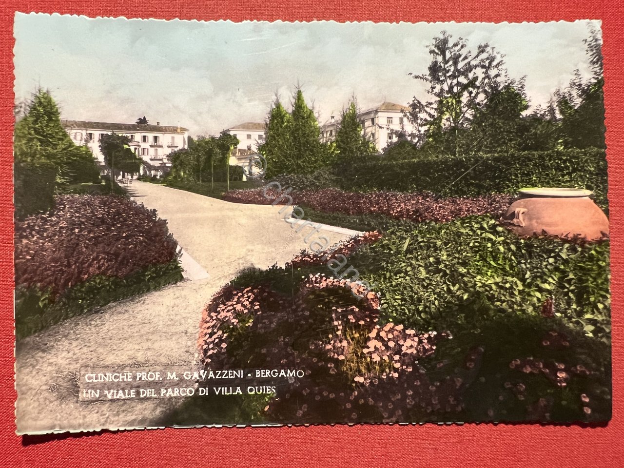 Cartolina Cliniche Prof. M. Gavazzeni, Bergamo - Viale del Parco …