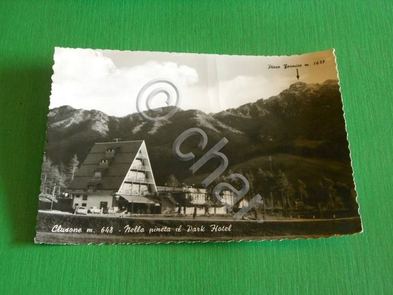 Cartolina Clusone - Nella pineta il Park Hotel 1964.