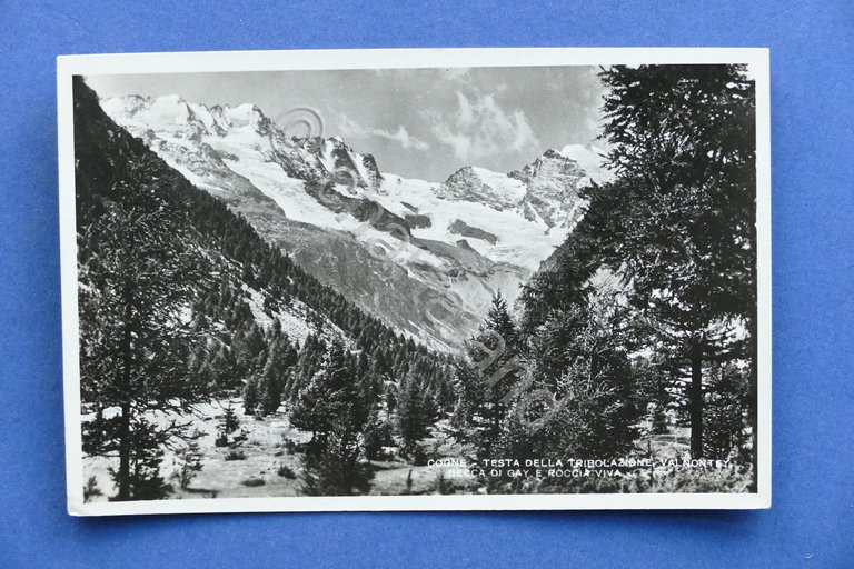 Cartolina Cogne - Testa della Tribolazione Valnontey - Becca di …
