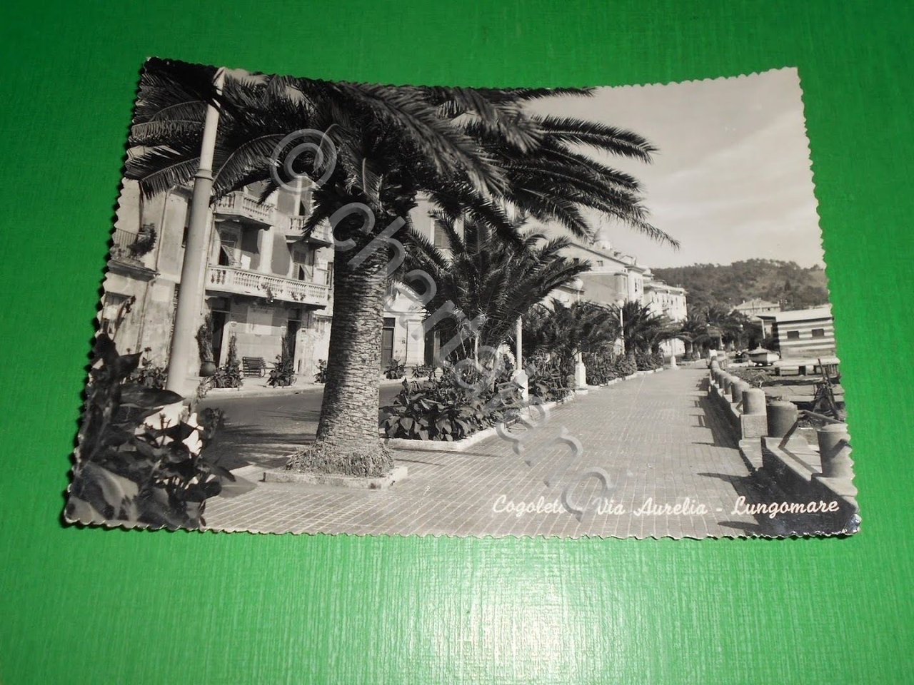 Cartolina Cogoleto - Via Aurelia - Lungomare 1955.