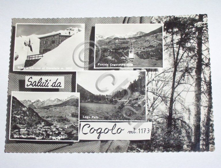 Cartolina Cogolo ( Trento ) - Vedute diverse 1964