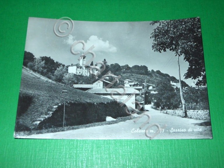 Cartolina Colazza ( Novara ) - Scorcio panoramico 1950 ca