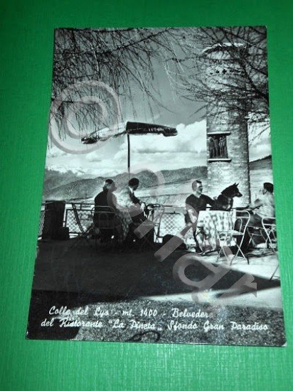 Cartolina Colle del Lys ( Torino ) - Belvedere Ristorante …