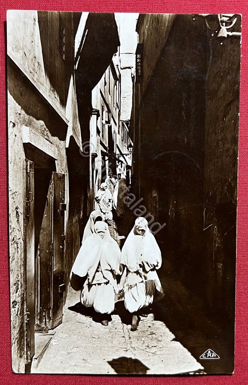 Cartolina Coloniale - Alger - Rue du Palmier - 1931