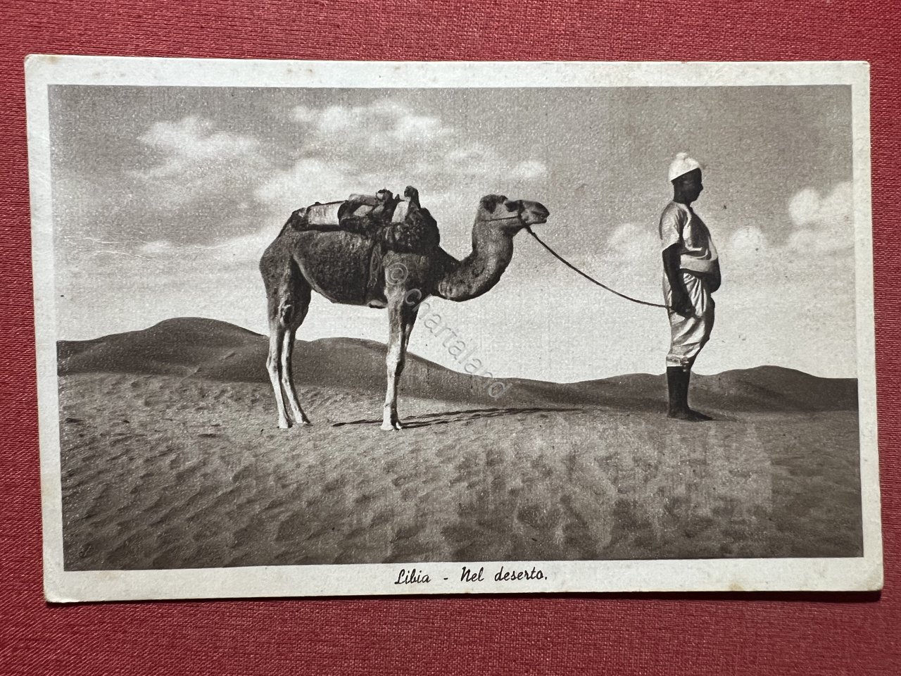 Cartolina Coloniale - Libia - Nel Deserto - 1941