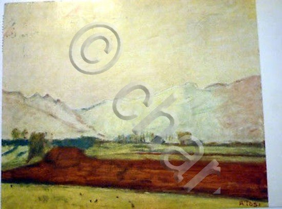 Cartolina con Autografo Pittore Arturo Tosi 1955