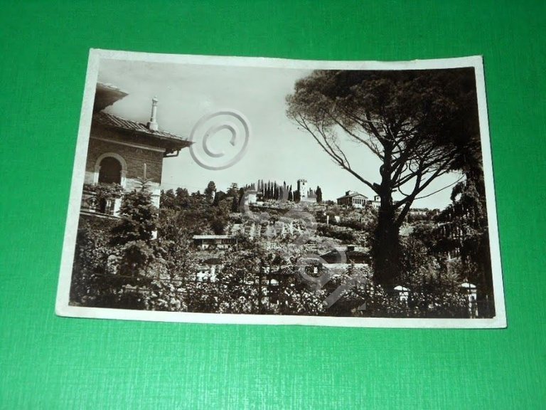 Cartolina Conegliano Veneto - Castello dal Parco Rocca 1934