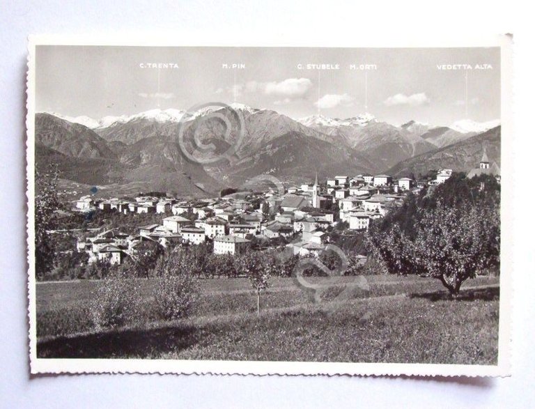 Cartolina Coredo ( Trento ) - Panorama 1964