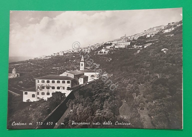 Cartolina Cortona - Panorama visto dalle Contesse - 1955 | Immagine Gallery 3