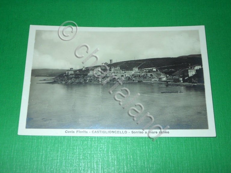 Cartolina Costa Fiorita - Castiglioncello - Scorcio panoramico 1920 ca