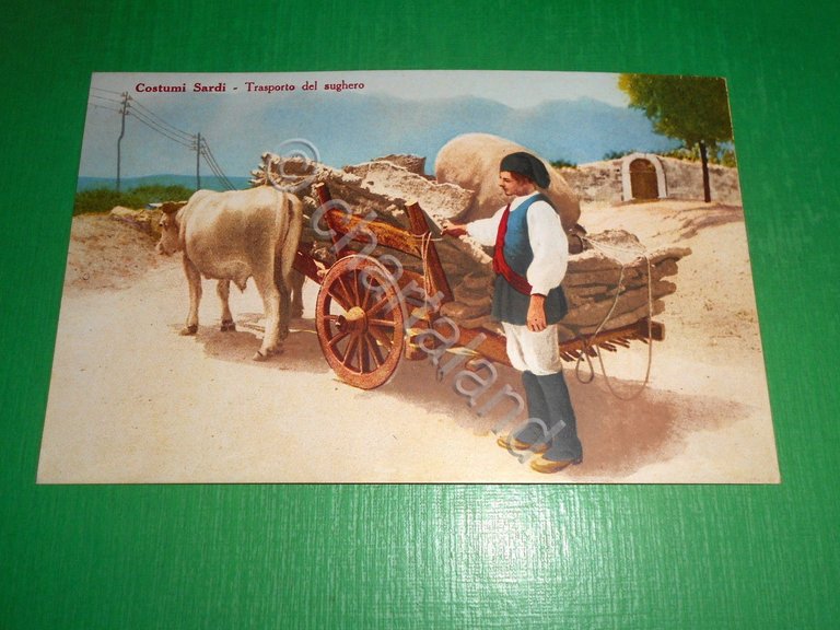 Cartolina Costumi Sardi - Trasporto del sughero - 1930 ca.