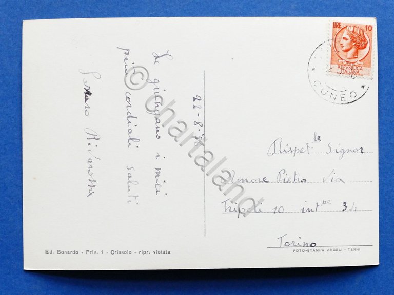 Cartolina Crissolo - alta Valle Po - Panorama - 1956.