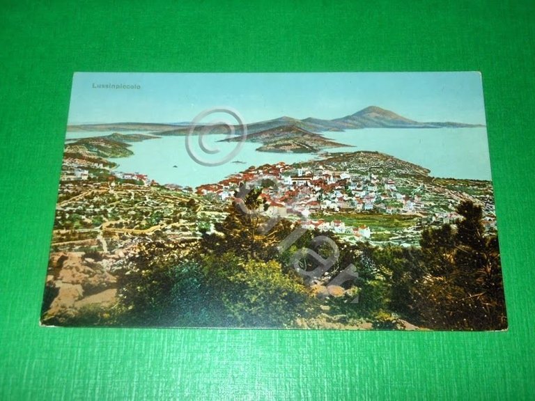 Cartolina Croatia Lussinpiccolo - Panorama 1920 ca #1.
