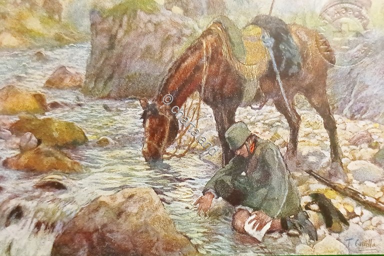 Cartolina Croce Rossa Italiana - Cavalleggero ferito - Illus. T. …