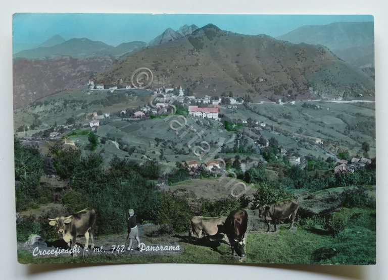 Cartolina Crocefieschi - Panorama - 1964