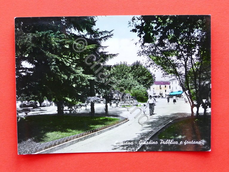 Cartolina Cumiana - Giardino Pubblico e fontana - 1969.