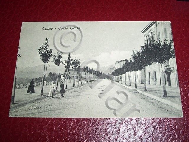 Cartolina Cuneo - Corso Gesso 1910 ca.