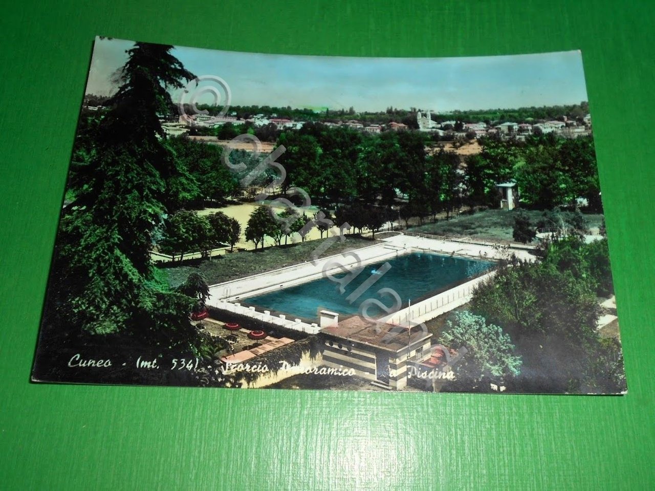 Cartolina Cuneo - Scorcio panoramico - La piscina 1962.
