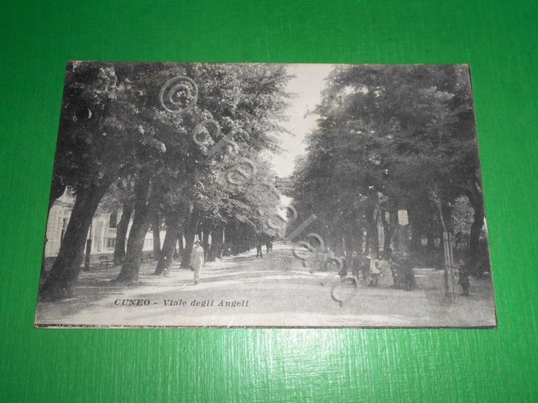 Cartolina Cuneo - Viale degli Angeli 1919.