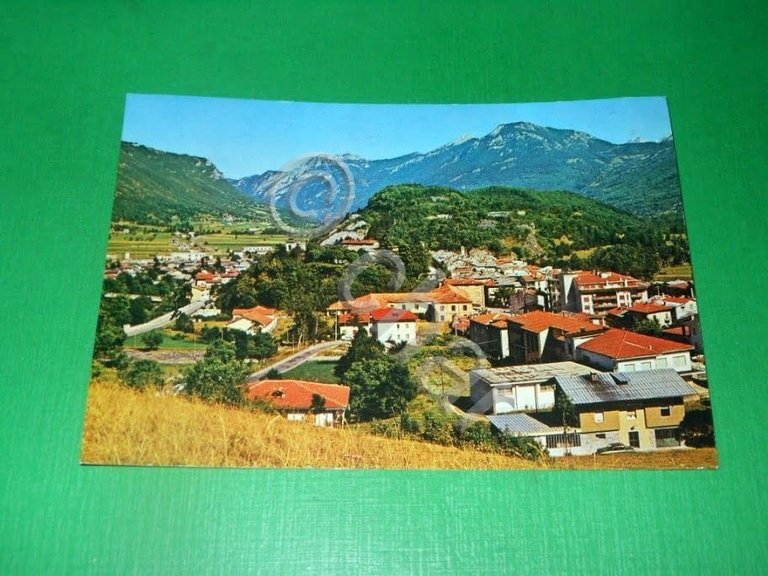Cartolina Demonte ( Valle Stura ) - Panorama 1981
