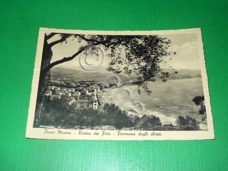 Cartolina Diano Marina - Panorama dagli oliveti 1951