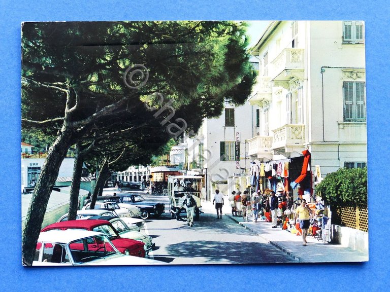Cartolina Diano Marina - Viale Torino - 1965
