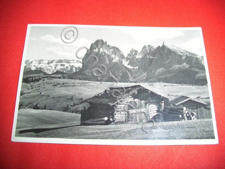 Cartolina Dolomiti - Alpe di Siusi con Sella 1951
