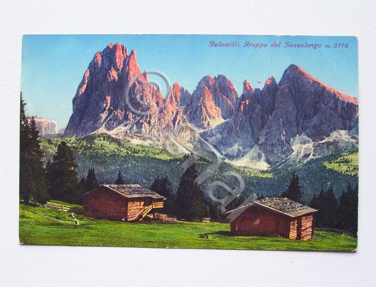 Cartolina Dolomiti - Gruppo del Sassolungo 1928