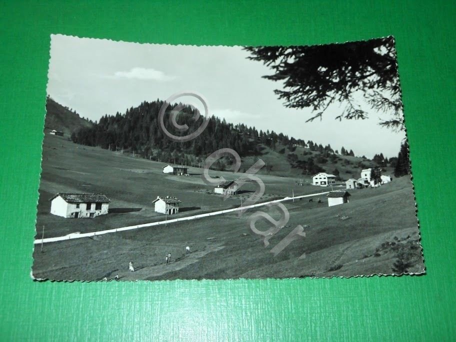 Cartolina Dolomiti - Primiero - Passo Cereda 1955 ca.