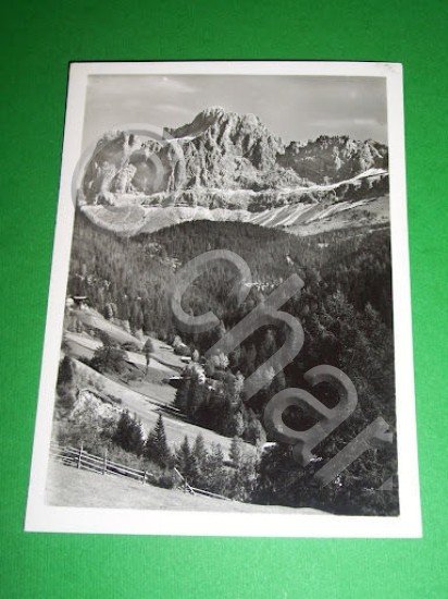 Cartolina Dolomiti : Catinaccio pr. Bolzano 1950 ca | Immagine principale