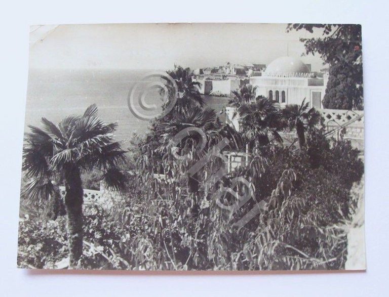 Cartolina Dubrovnika - Panorama 1950 ca