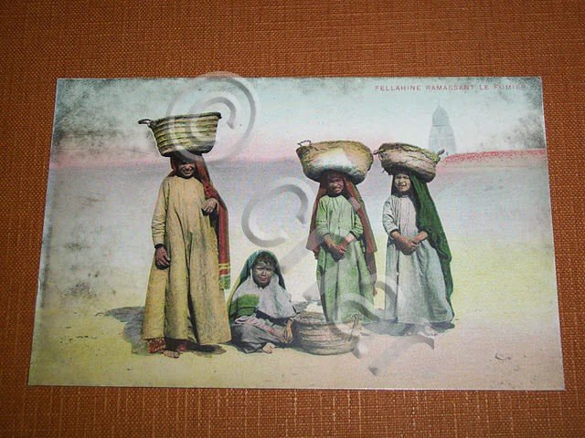 Cartolina Egitto Egypt - Cairo - Fellahine Ramassant Le Fumier … | Immagine Gallery 2
