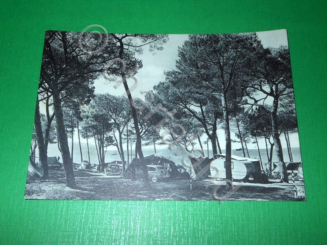 Cartolina Fallonica - Campeggio 1957