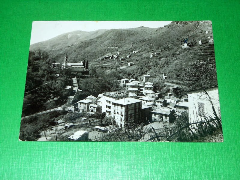 Cartolina Favale di Malvaro - Panorama 1957.