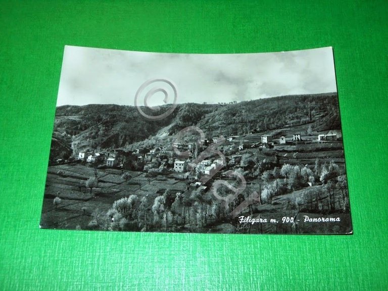 Cartolina Feligara ( Pavia ) - Panorama 1957