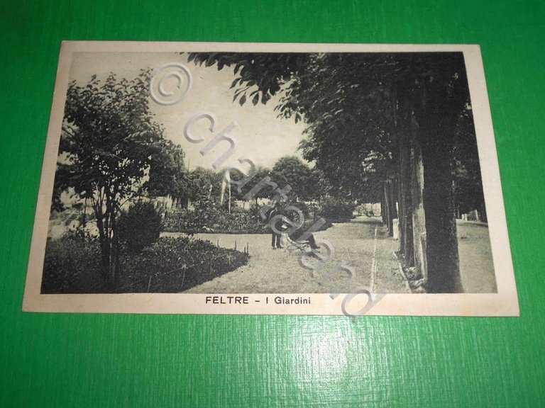 Cartolina Feltre - I Giardini 1925