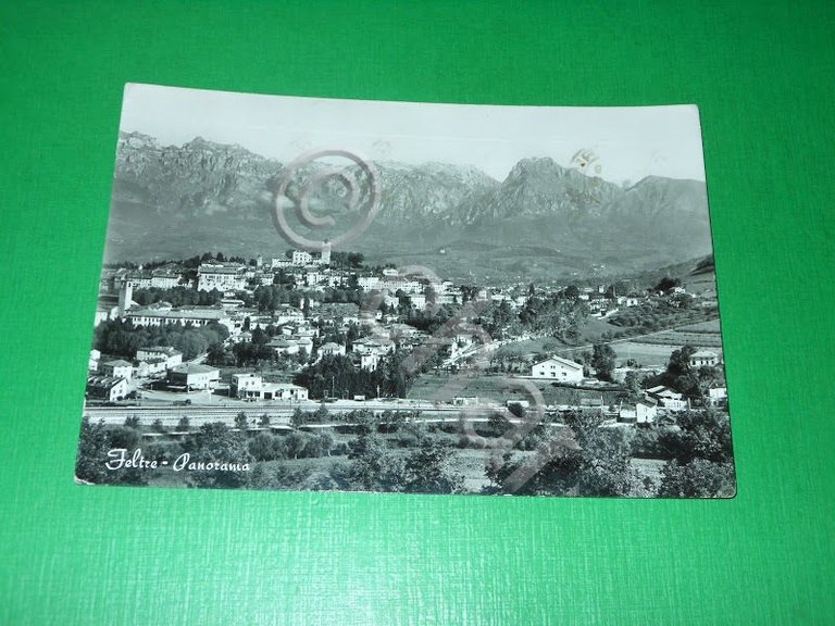 Cartolina Feltre - Panorama - 1958.