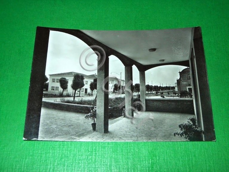 Cartolina Ferrara - Seminario Arcivescovile dell' Annunciazione 1955 ca.