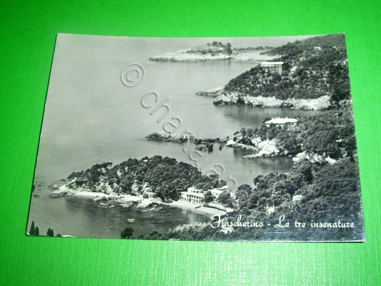 Cartolina Fiascherino - Le tre insenature 1950 ca