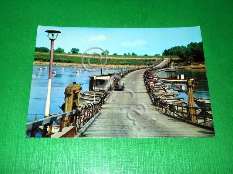 Cartolina Ficarolo ( Rovigo ) - Ponte in chiatte sul …