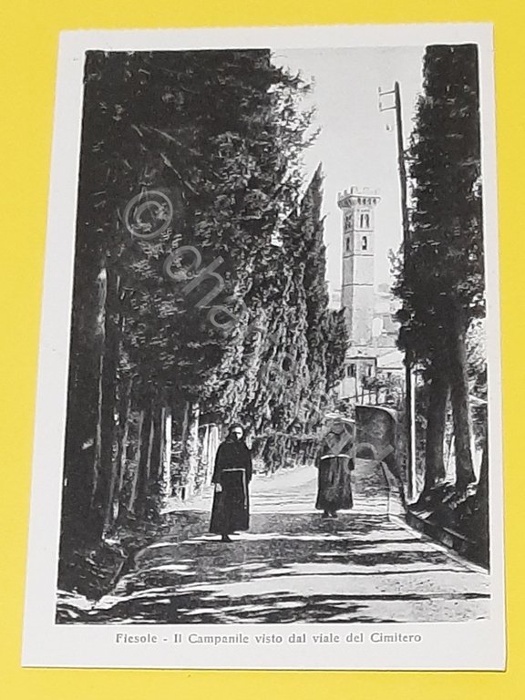 Cartolina Fiesole - Il Campanile Visto dal Viale del Cimitero …
