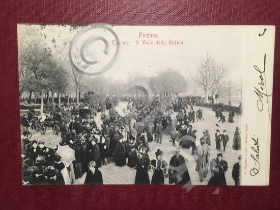Cartolina Firenze - Cascine - Il Viale della Regina - …