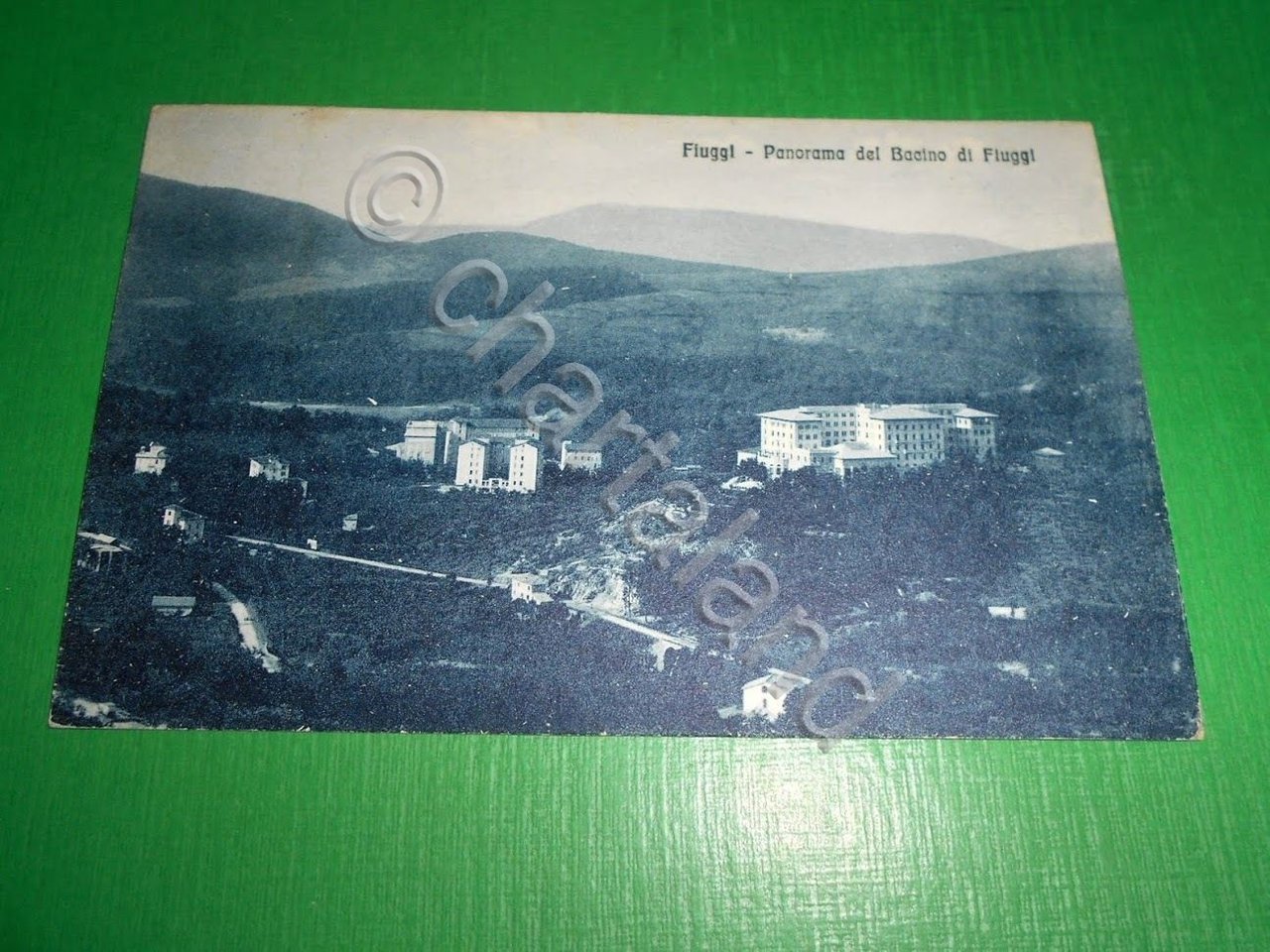 Cartolina Fiuggi - Panorama del Bacino di Fiuggi 1925.