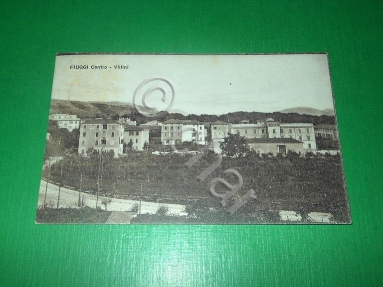 Cartolina Fiuggi Centro - Villini 1939