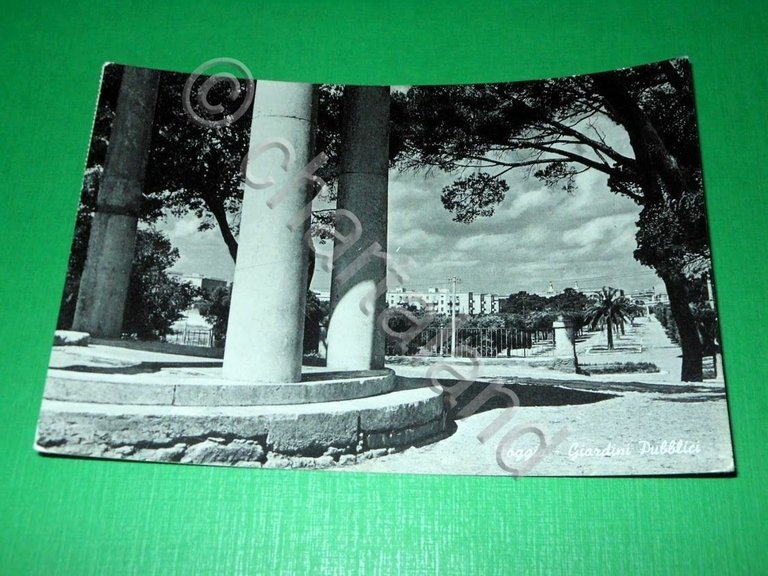 Cartolina Foggia - Giardini Pubblici 1955.